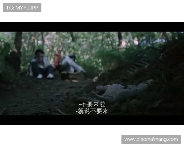 90分钟剧情解析《致命感应》，20年的恩怨纠葛，最后一个镜头让人尖叫