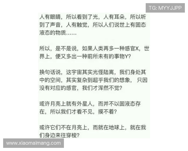 董夫人如何在权谋与情感之间找到平衡揭示她的智慧与心机