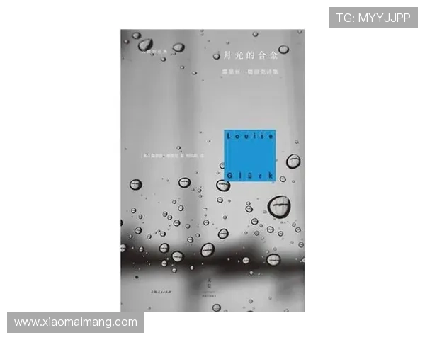 灵魂的低语:那些不曾言说的特殊关系